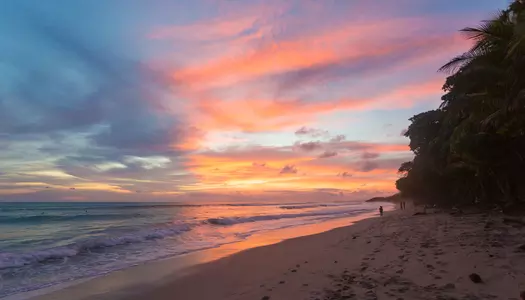 Día 4: Península de Nicoya, Costa Rica