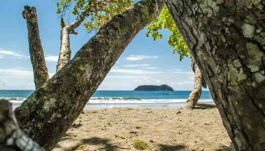 Día 6: Manuel Antonio, Costa Rica