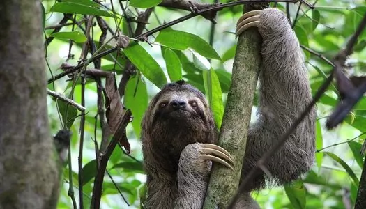 Día 2: San José, Costa Rica - Manuel Antonio, Costa Rica