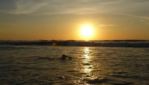 Día 7: Manuel Antonio, Costa Rica - Tamarindo, Costa Rica