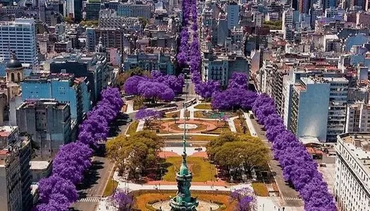 Día 10: Buenos Aires, Argentina