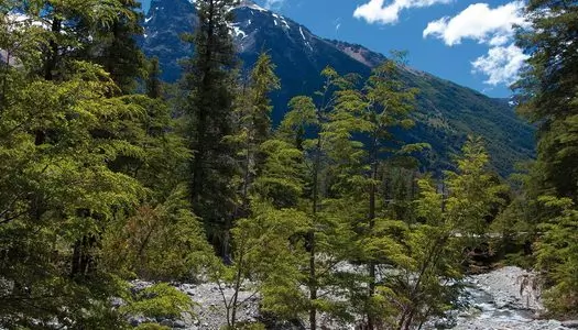Día 3: Buenos Aires, Argentina - Bariloche, Argentina