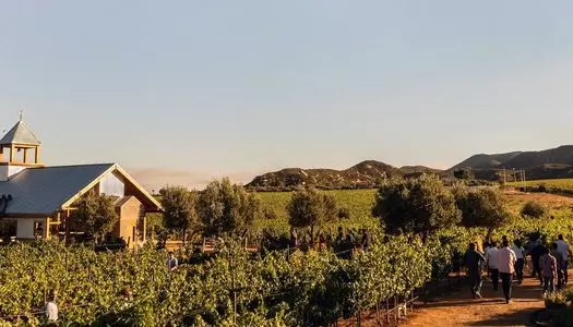 Día 3: Valle de Guadalupe, México