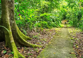 7479_galeria_1041