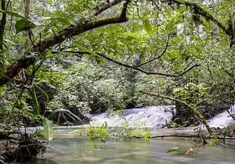 Cabañas Ecoturísticas Lacanjá (PK)_galeria_9681