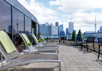 Chelsea Toronto Hotel****_galeria_8764
