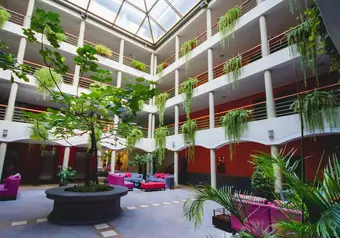 Xima Executive Hotel Cusco ****_galeria_3262