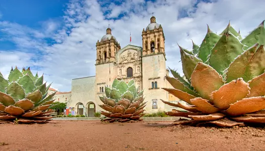Día 3: Oaxaca, México