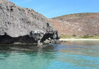 Hongo Balandra