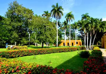 23475_galeria_2365