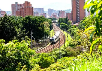24317_galeria_4448