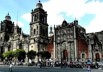 24446_galeria_8472