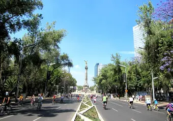 24450_galeria_7202