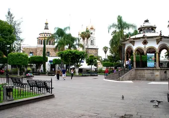 24453_galeria_4327