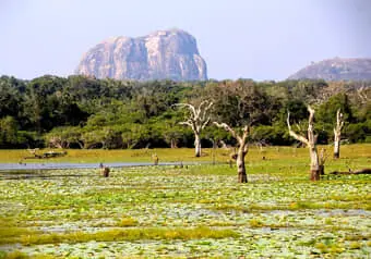 24898_galeria_3210