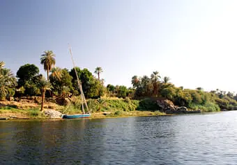 24929_galeria_8690