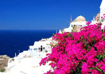 24947_galeria_6791