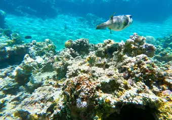 25347_galeria_7738