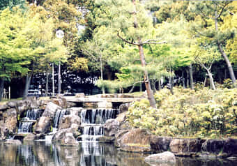 26274_galeria_9230