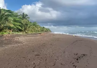 Tortuguero Beach