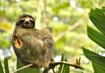Puerto Viejo, Costa Rica