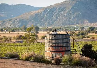 RUTA DEL VINO VALLE DE GUADALUPE, CON COMIDA EN FINCA_galeria_1638
