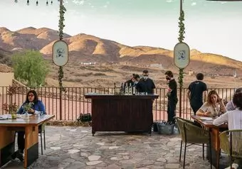 RUTA DEL VINO VALLE DE GUADALUPE, CON COMIDA EN FINCA_galeria_3736