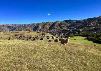 Templos y Centros Ceremoniales desde Cusco_galeria_3005