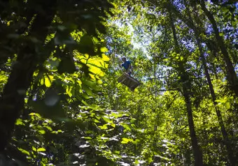 Tirolezas, Canopy y Rappel Pacuare River Lodge_galeria_2554