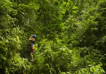 Tirolezas, Canopy y Rappel Pacuare River Lodge_galeria_6602