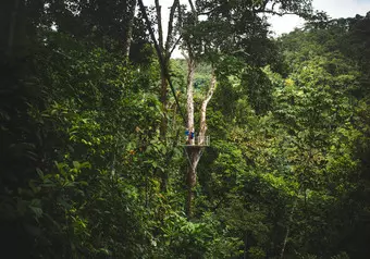 Tirolezas, Canopy y Rappel Pacuare River Lodge_galeria_9898