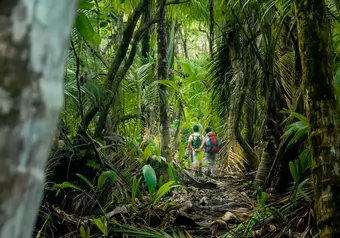 Tour a la Reserva de Corcovado PK_galeria_9244