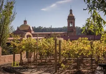 Tour a los Viñedos y Misión Jesuita en Cerocahui