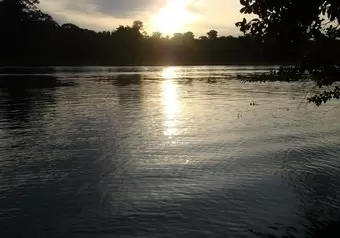 Tour a Tortuguero desde San José_galeria_1671