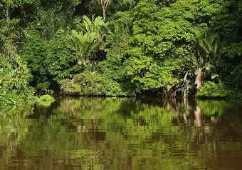 Tour a Tortuguero desde San José_galeria_2987