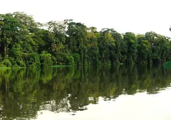 Tour a Tortuguero desde San José_galeria_6500