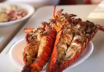 Tour Degustación de Langosta y traslado a Valle de Guadalupe_galeria_5496
