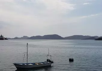 Tour en la bahia de Topolobampo con delfín y City Tour en Los Mochis_galeria_5864