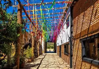 Tour Ruta del Vino en Valle de Guadalupe, intermedia_galeria_6106