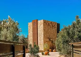 Tour Ruta del Vino en Valle de Guadalupe, intermedia_galeria_7169