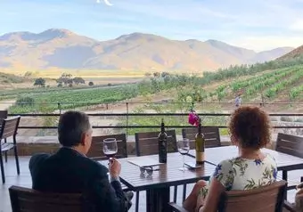Tour Ruta del Vino en Valle de Guadalupe, intermedia_galeria_8274