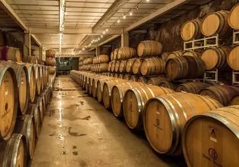 Tour Ruta del Vino en Valle de Guadalupe, intermedia_galeria_8696