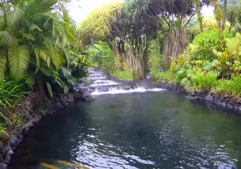 Tour Volcán Arenal, Sarchi y Tobacón Aguas Termales desde San José PK_galeria_7742