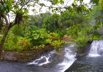 Tour Volcán Arenal, Sarchi y Tobacón Aguas Termales desde San José PK_galeria_8363