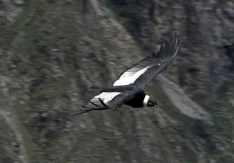 Valle de Colca_galeria_1512