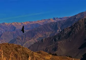 Valle de Colca_galeria_6609