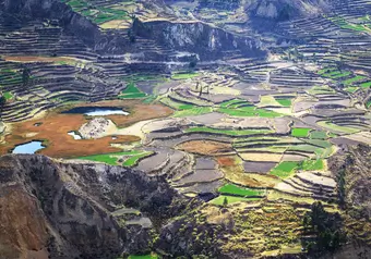 Valle de Colca_galeria_9126