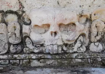 Visita a la Zona Arqueológica de Palenque_galeria_2053