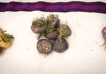Visita al Pueblo de Maca y almuerzo_galeria_9500
