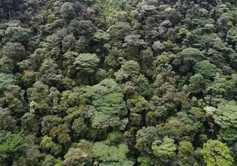 Parque Nacional Baulio Carrillo